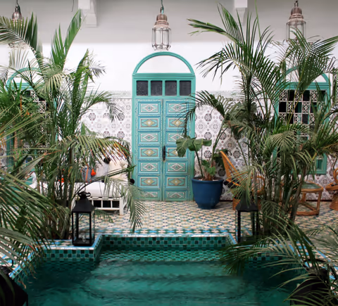 plunge pool by a green door under the palms