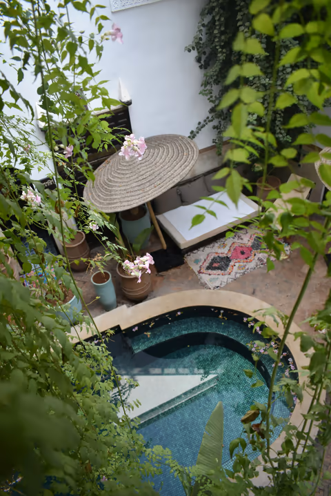 small pool and daybed among the plants