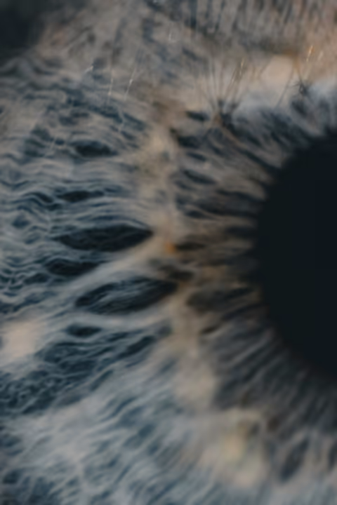 a close up of an eye