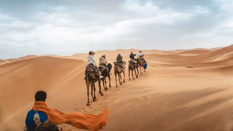 people riding camels on desert