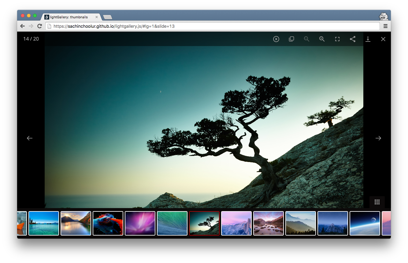 lightGallery - Full featured javascript gallery for web and mobile.